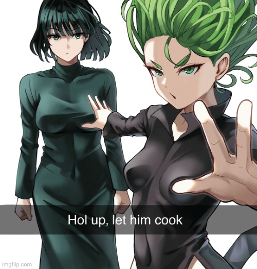Hold up let him cook tatsumaki and fubuki | image tagged in hold up let him cook tatsumaki and fubuki | made w/ Imgflip meme maker
