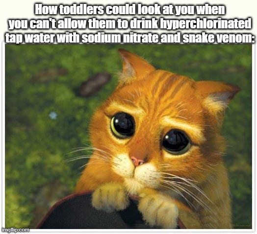 "waaah" SYBAU NGA | How toddlers could look at you when you can't allow them to drink hyperchlorinated tap water with sodium nitrate and snake venom: | image tagged in memes,puss in boots | made w/ Imgflip meme maker