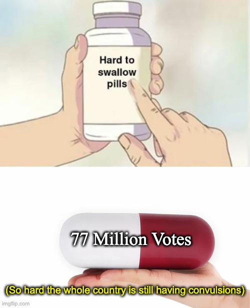 77 Million Votes (So hard the whole country is still having convulsions) | made w/ Imgflip meme maker