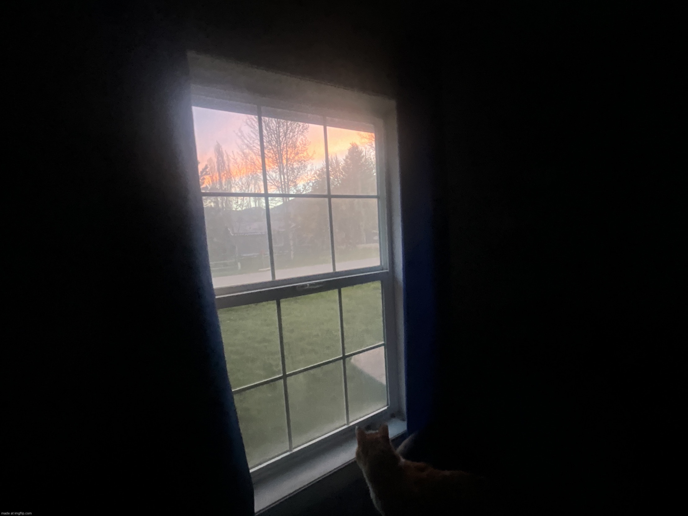 it’s the actual morning rn for me | image tagged in image jpg | made w/ Imgflip meme maker
