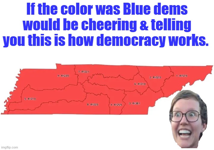 If the color was Blue dems would be cheering & telling you this is how democracy works. | made w/ Imgflip meme maker