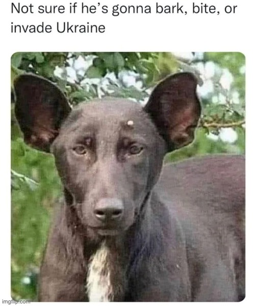 Гаф | made w/ Imgflip meme maker