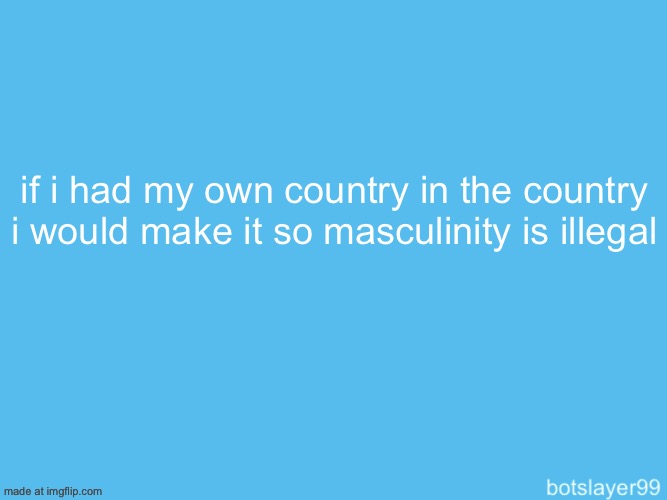 botslayer announcement temp | if i had my own country in the country i would make it so masculinity is illegal | image tagged in botslayer announcement temp | made w/ Imgflip meme maker