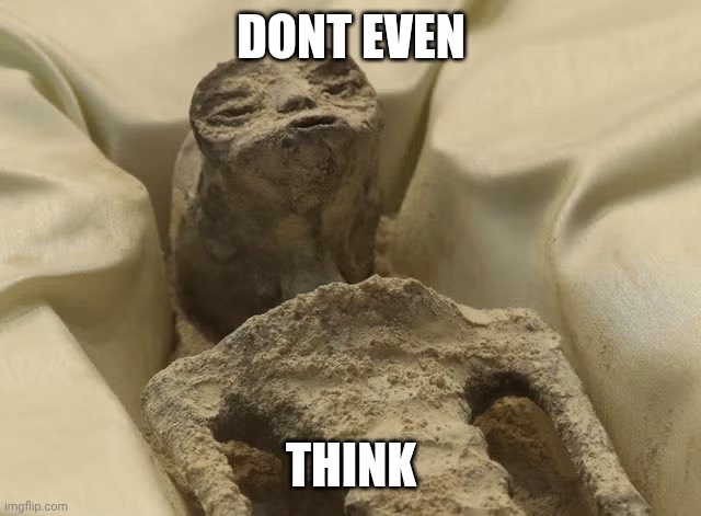 Think | Dont even; Think | image tagged in mexican alien | made w/ Imgflip meme maker