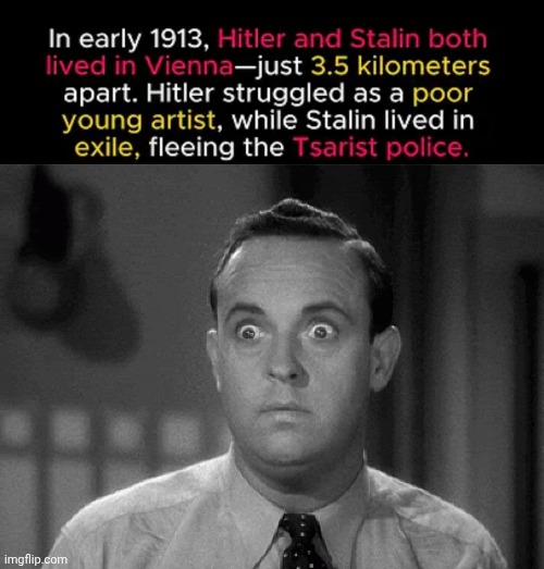Hitler and Stalin together | image tagged in shocked face | made w/ Imgflip meme maker