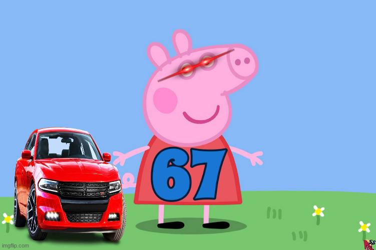 67 pig Blank Meme Template