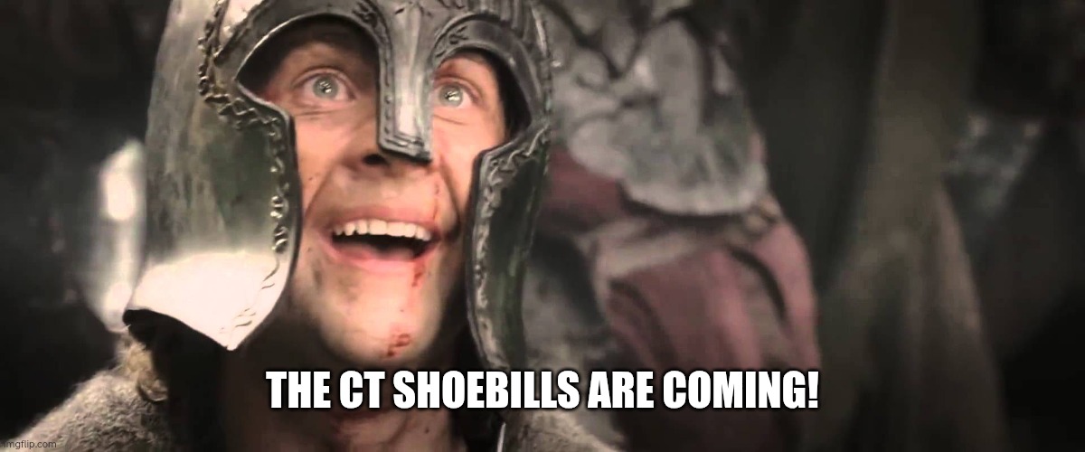 Pippin Eagles  | The CT shoebills are coming! | image tagged in pippin eagles | made w/ Imgflip meme maker