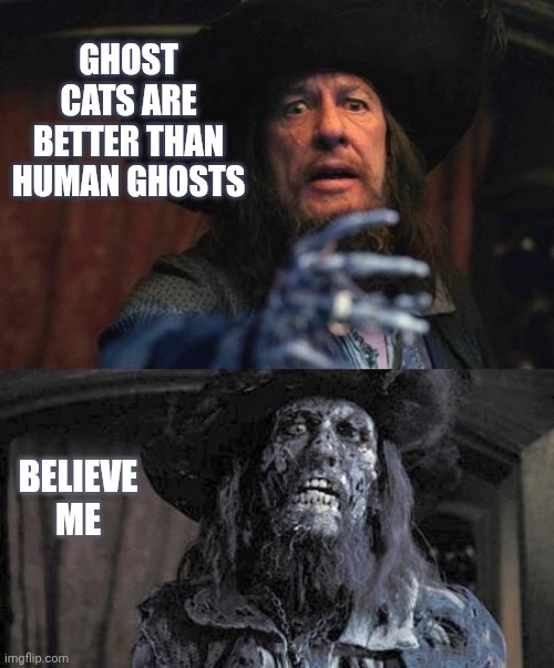 Ghost stories barbosa | Ghost cats are better than human ghosts; Believe me | image tagged in ghost stories barbosa | made w/ Imgflip meme maker