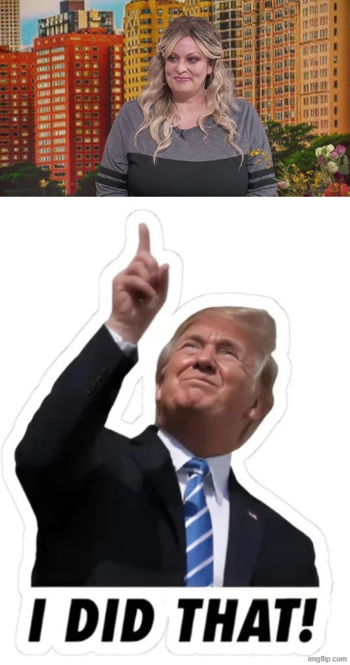 STORMY DANIELS | image tagged in stormy daniels,donald trump,melania trump,jeffrey epstein,scandal,political meme | made w/ Imgflip meme maker
