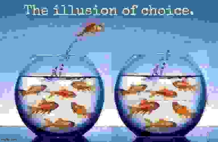 The illusion of choice. | image tagged in the illusion of choice | made w/ Imgflip meme maker