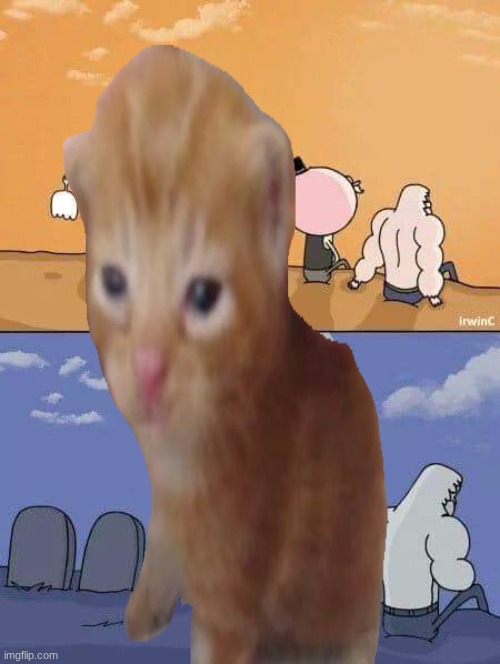 regular show everyone dies | image tagged in regular show everyone dies | made w/ Imgflip meme maker