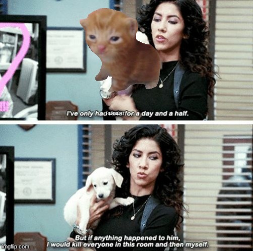 I've only had Arlo for a day and a half | herbert | image tagged in i've only had arlo for a day and a half | made w/ Imgflip meme maker