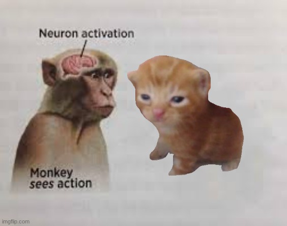 Neuron activation | image tagged in neuron activation | made w/ Imgflip meme maker