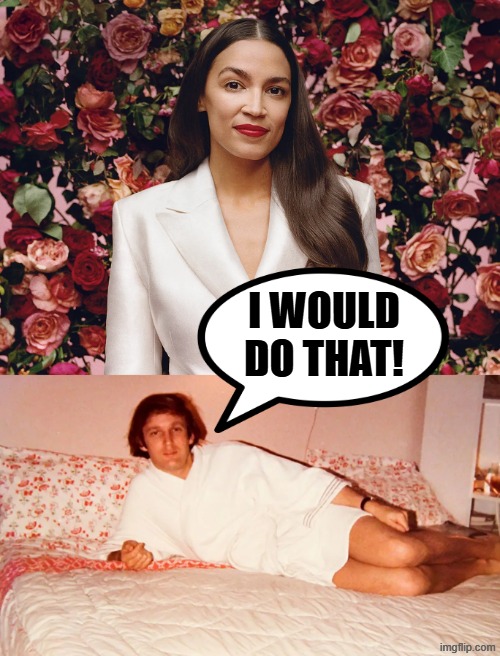 I WOULD DO THAT! | I WOULD DO THAT! | image tagged in aoc,crazy aoc,alexandria ocasio-cortez,crazy alexandria ocasio-cortez,donald trump,political meme | made w/ Imgflip meme maker