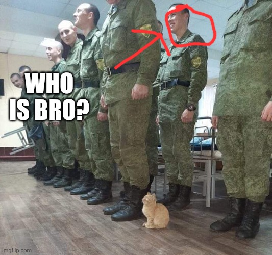 Cat soldier | Who is bro? | image tagged in cat soldier | made w/ Imgflip meme maker