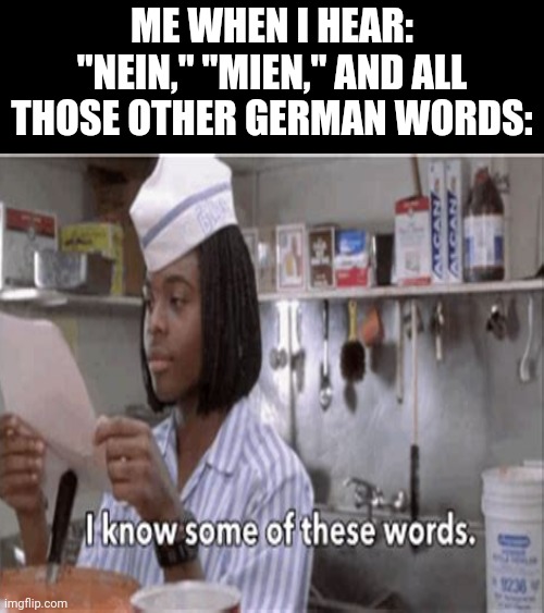 Uh huh, I know some of em. | Me when I hear: "Nein," "Mien," and all those other German words: | image tagged in good burger,ed,german,language,europe | made w/ Imgflip meme maker