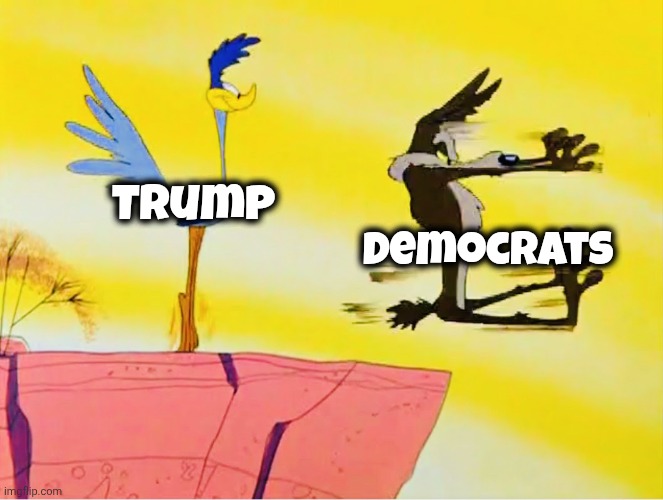 Trump Democrats | image tagged in road runner adam schiff | made w/ Imgflip meme maker