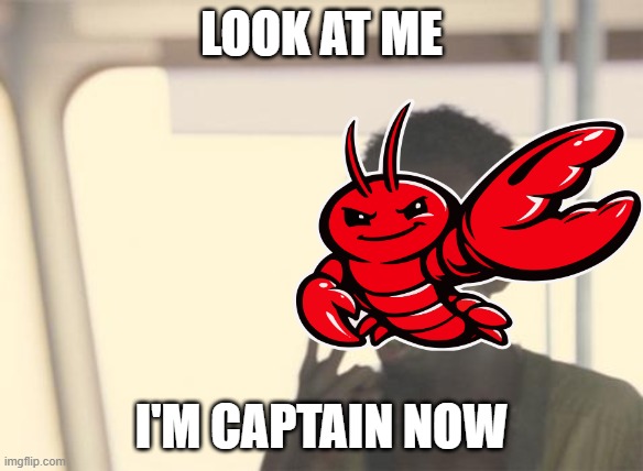 I'm The Captain Now Meme | Look AT me; I'M captain now | image tagged in memes,i'm the captain now | made w/ Imgflip meme maker