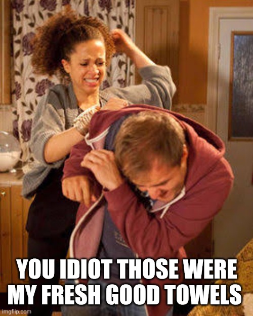 battered husband | you idiot those were my fresh good towels | image tagged in battered husband | made w/ Imgflip meme maker