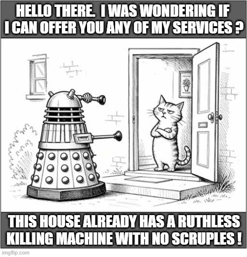 Doorstep Dalek Unnecessary | Hello there.  I was wondering if 
I can offer you any of my services ? This house already has a ruthless killing machine with no scruples ! | image tagged in cats,doorstep,dalek,unnecessary | made w/ Imgflip meme maker