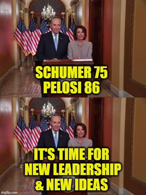 Holding back progress | Schumer 75
Pelosi 86; It's time for
 new leadership
& new ideas | image tagged in democrats | made w/ Imgflip meme maker