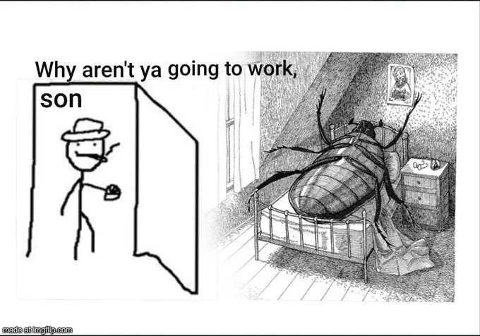 dongs in a beetle | image tagged in dongs | made w/ Imgflip meme maker