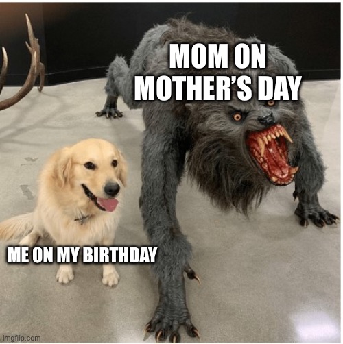 dog wolf | Mom on Mother’s Day; Me on my birthday | image tagged in dog wolf | made w/ Imgflip meme maker