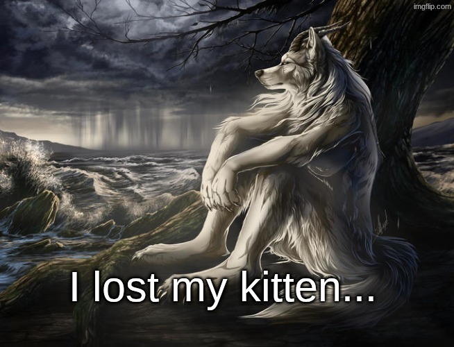 prolly for the best I wasn't a good bf anyway. I always ended up choosing myself. lwk selfish asf but Adderall changes ur brain | I lost my kitten... | image tagged in lone wolf | made w/ Imgflip meme maker