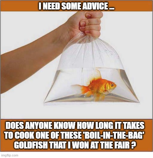 I Can't Find Any Instructions Online | I need some advice ... Does anyone know how long it takes
to cook one of these 'boil-in-the-bag' 
goldfish that I won at the fair ? | image tagged in goldfish,cooking,instructions | made w/ Imgflip meme maker