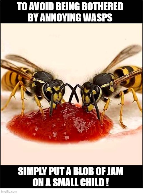 Some Advice For The Summer | To avoid being bothered
by annoying wasps; Simply Put a blob of jam
on a small child ! | image tagged in summer,advice,wasp,jam,child | made w/ Imgflip meme maker
