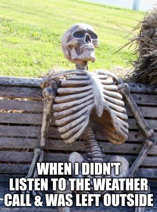 Waiting Skeleton | When I didn't listen to the weather call & was left outside | image tagged in memes,waiting skeleton,stormtroopers | made w/ Imgflip meme maker