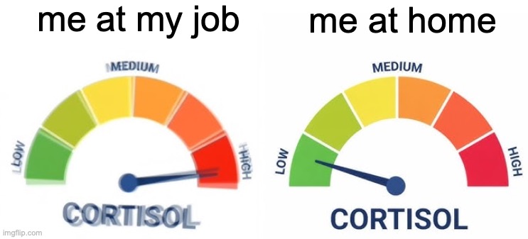 high vs low cortisol | me at my job; me at home | image tagged in high vs low cortisol | made w/ Imgflip meme maker
