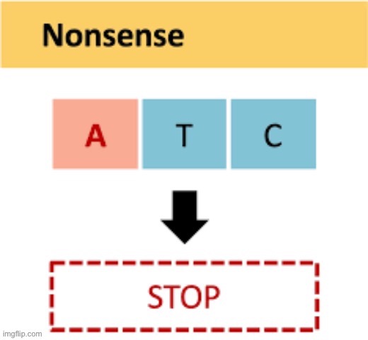 Nonsense | image tagged in nonsense | made w/ Imgflip meme maker