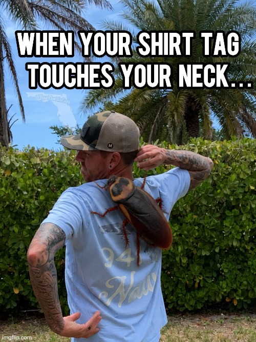 Florida people know... | image tagged in t-shirt,tag,cockroach,they re the same thing,florida,fear | made w/ Imgflip meme maker