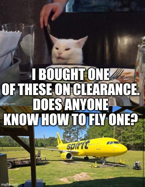 I bought one of these on clearance. Does anyone know how to fly one? | image tagged in smudge that darn cat | made w/ Imgflip meme maker