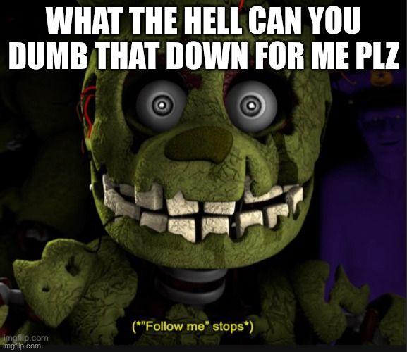 (*”Follow me” stops*) | what the hell can you dumb that down for me plz | image tagged in follow me stops | made w/ Imgflip meme maker