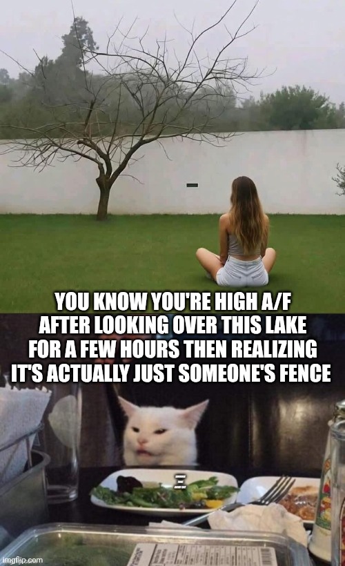You know you're high a/f after looking over this lake for a few hours then realizing it's actually just someone's fence | image tagged in smudge that darn cat | made w/ Imgflip meme maker