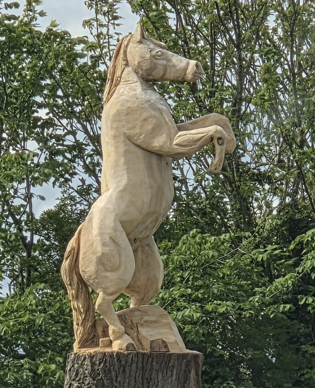 That Horse Blank Meme Template
