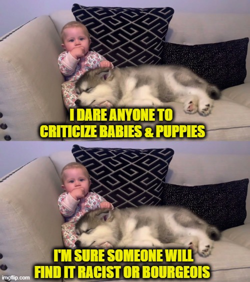 Leftists hate everything | I dare anyone to 
criticize babies & puppies; I'm sure someone will
find it racist or bourgeois | image tagged in leftists | made w/ Imgflip meme maker