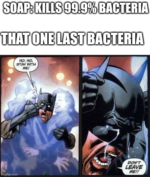 that one bacteria | soap: kills 99.9% bacteria; that one last bacteria | image tagged in batman don't leave me,memes,bacteria | made w/ Imgflip meme maker