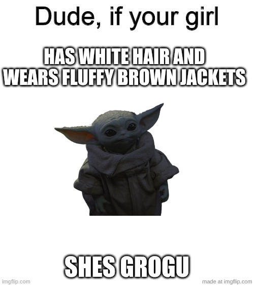 Your girl | Has white hair and wears fluffy brown jackets; Shes grogu | image tagged in dude if your girl | made w/ Imgflip meme maker
