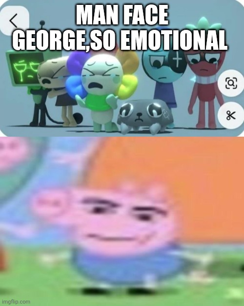 HUNTRIX'S FACE MAKES ME PUKE | Man face george,so emotional | image tagged in huntrix's face makes me puke | made w/ Imgflip meme maker