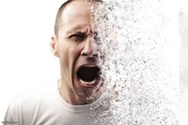 disintegrate | image tagged in disintegrate | made w/ Imgflip meme maker