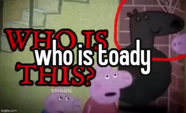 what is toady | image tagged in where is toady | made w/ Imgflip meme maker