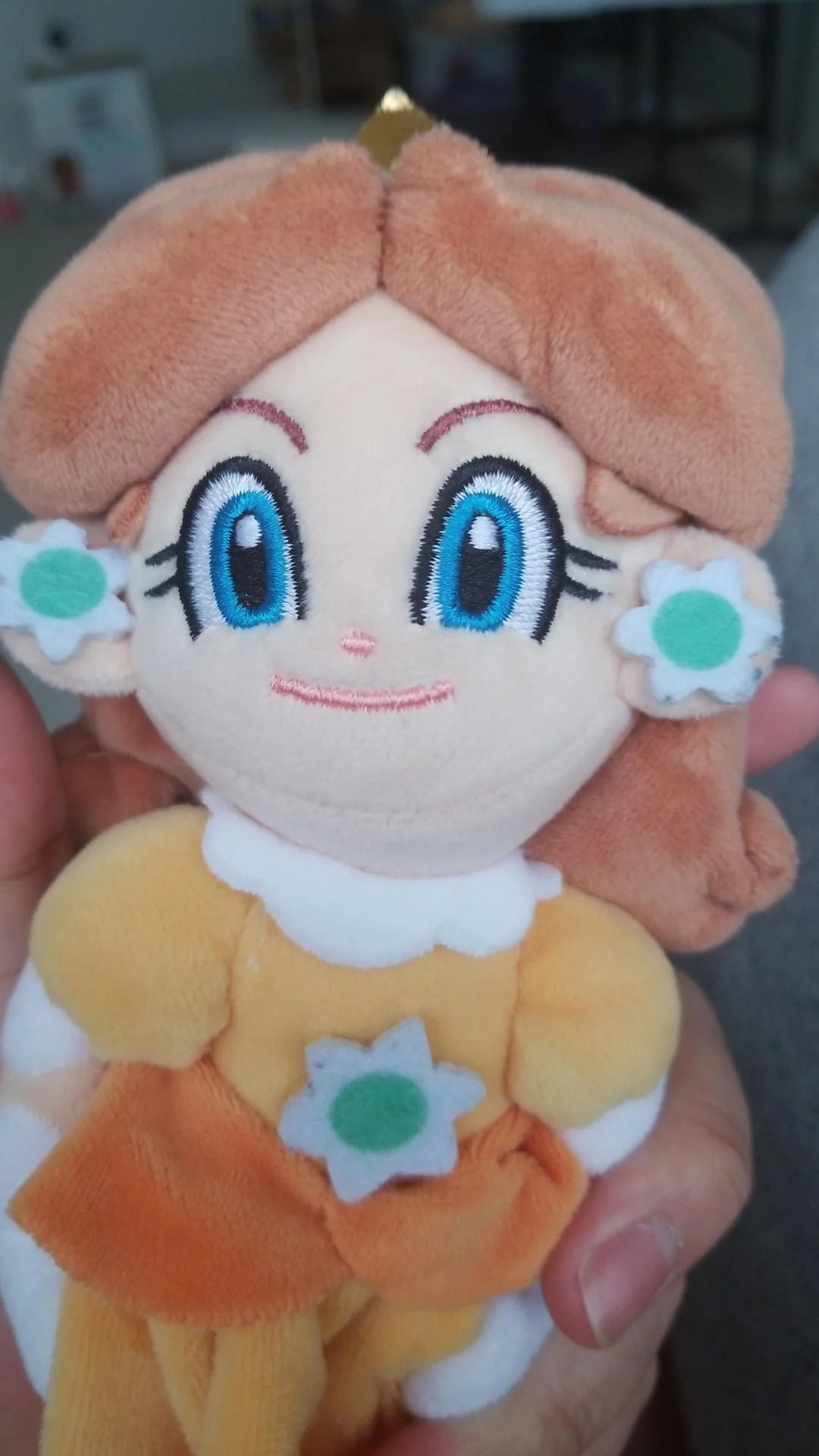 Daisy Plush Blank Meme Template
