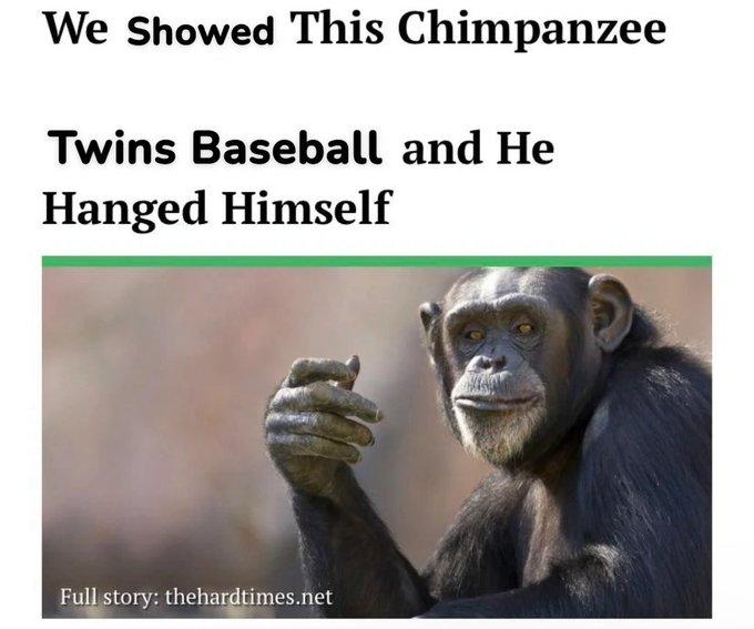 We shoed this chimpanzee Blank Meme Template