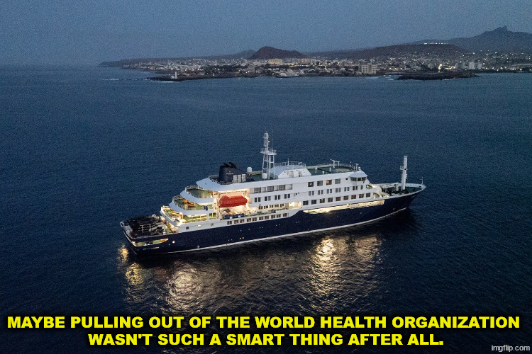 We used to get first crack at the data. Now we wait for press releases like everybody else. | Maybe pulling out of the World Health Organization 
wasn't such a smart thing after all. | image tagged in trump,virus,rfk jr,health,disease,hanta | made w/ Imgflip meme maker