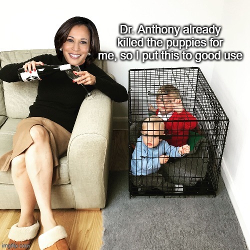Dr. Anthony already killed the puppies for me, so I put this to good use | made w/ Imgflip meme maker