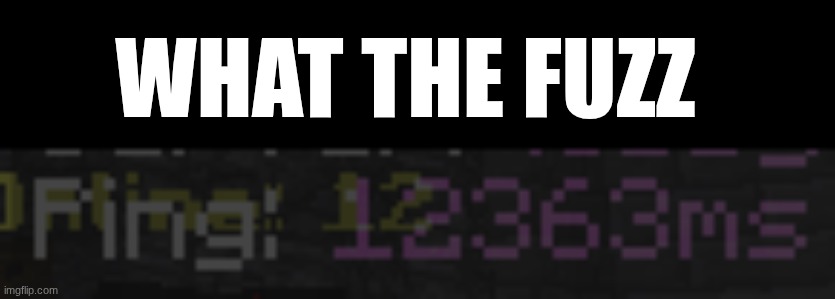 ping | What the fuzz | image tagged in ping,minecraft | made w/ Imgflip meme maker