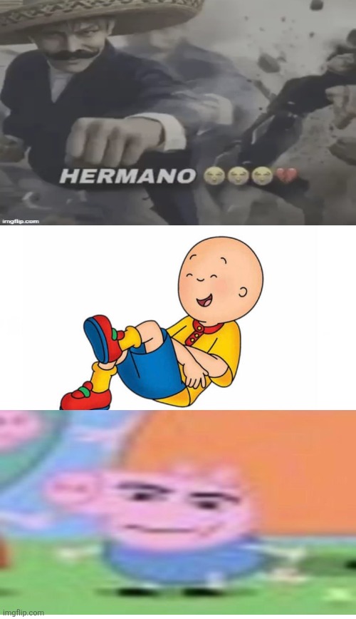 hermano lol | image tagged in who tells caillou to stop laughing at lm's crash | made w/ Imgflip meme maker